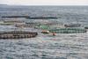 Ferme marine et aquaculture, le rapport du CESE
